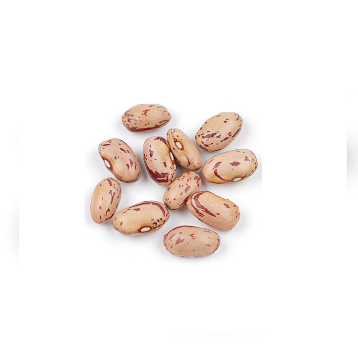 Cranberry ( Borlotti ) Beans